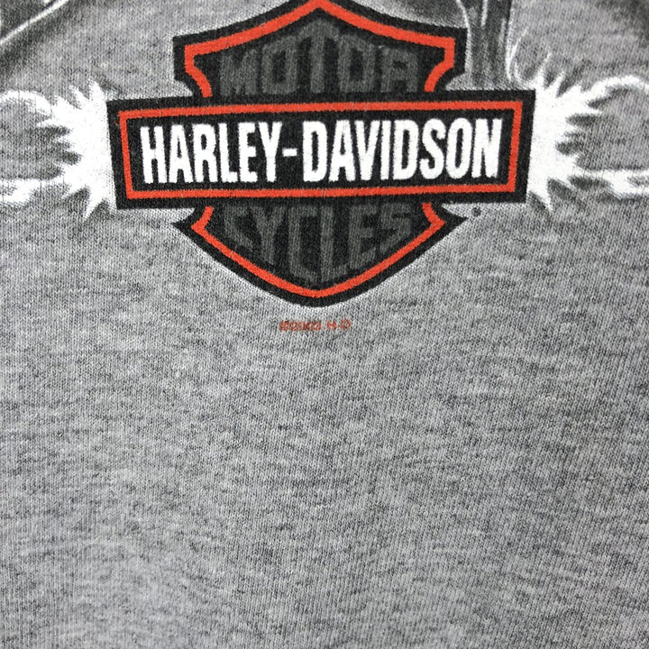 Harley-Davidson Long Sleeve T-Shirt, Men's Size L cotton gray type Vintage Second Hand