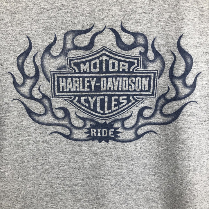 2000'S Harley-Davidson Motorcycle Fire Pattern Long-Sleeve T-Shirt (Men's Size M) unclear gray type Vintage Second Hand