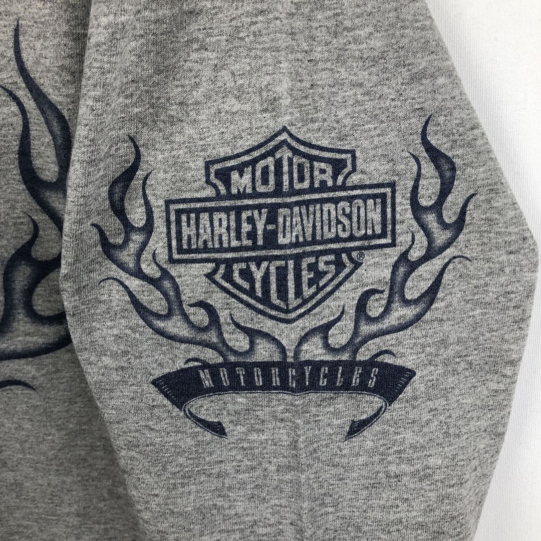 2000'S Harley-Davidson Motorcycle Fire Pattern Long-Sleeve T-Shirt (Men's Size M) unclear gray type Vintage Second Hand