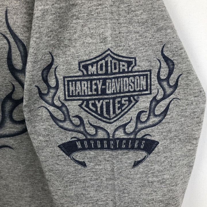 2000'S Harley-Davidson Motorcycle Fire Pattern Long-Sleeve T-Shirt (Men's Size M) unclear gray type Vintage Second Hand