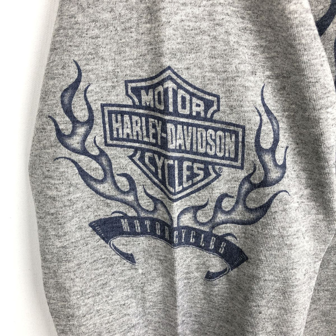 2000'S Harley-Davidson Motorcycle Fire Pattern Long-Sleeve T-Shirt (Men's Size M) unclear gray type Vintage Second Hand