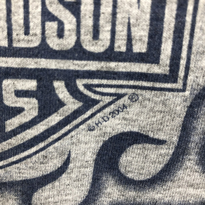 2000'S Harley-Davidson Motorcycle Fire Pattern Long-Sleeve T-Shirt (Men's Size M) unclear gray type Vintage Second Hand