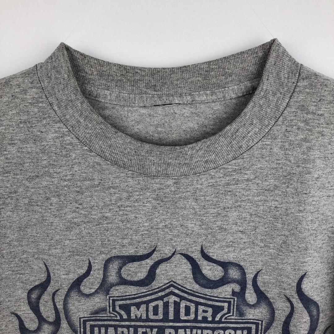 2000'S Harley-Davidson Motorcycle Fire Pattern Long-Sleeve T-Shirt (Men's Size M) unclear gray type Vintage Second Hand
