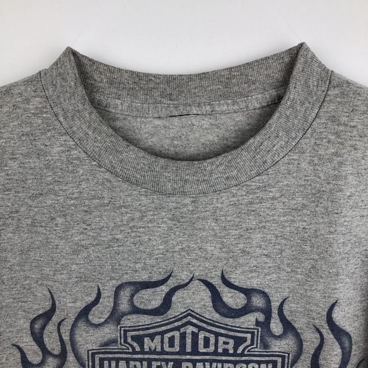 2000'S Harley-Davidson Motorcycle Fire Pattern Long-Sleeve T-Shirt (Men's Size M) unclear gray type Vintage Second Hand