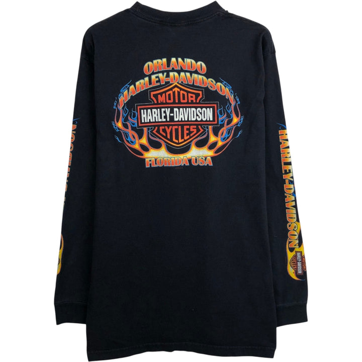 2000'S Harley-Davidson Fire Pattern Eagle Design Motorcycle Long-Sleeve T-Shirt, Made in USA, Men's Size L (approx.) cotton black type Vintage Second Hand