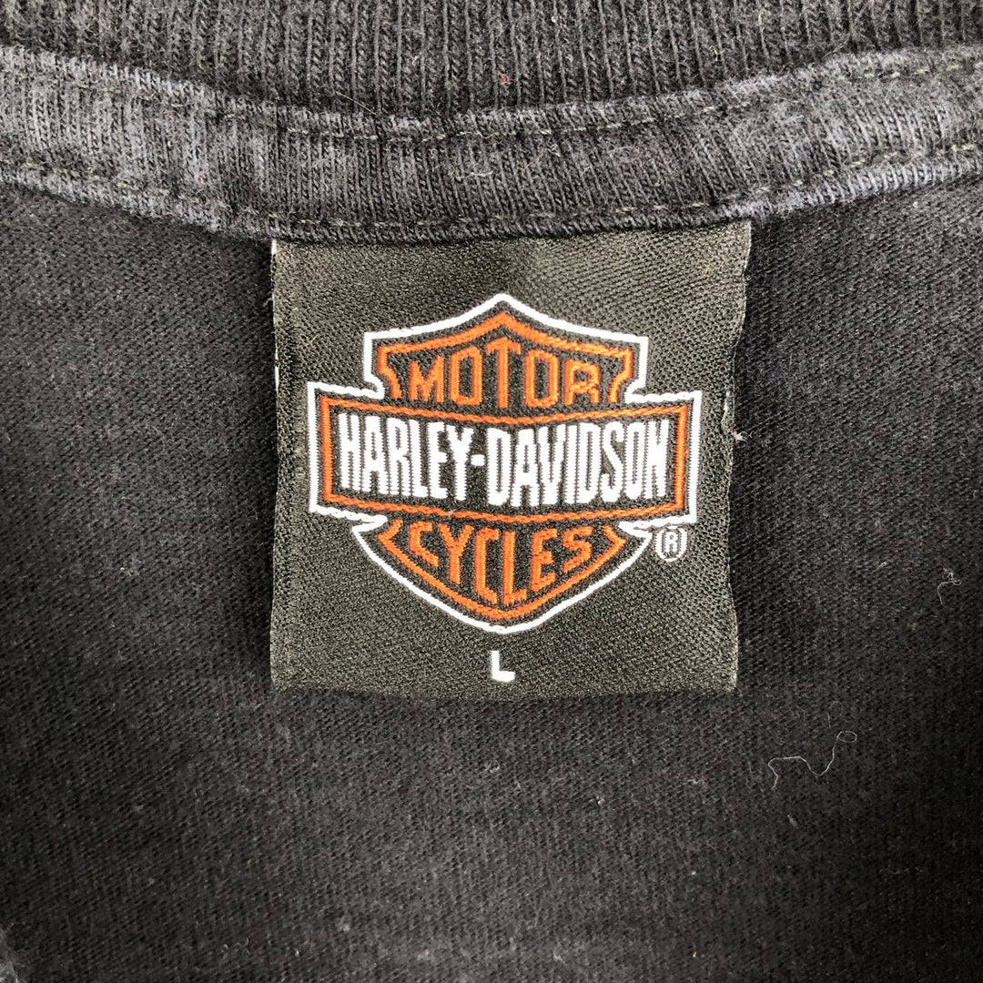 2000'S Harley-Davidson Fire Pattern Eagle Design Motorcycle Long-Sleeve T-Shirt, Made in USA, Men's Size L (approx.) cotton black type Vintage Second Hand