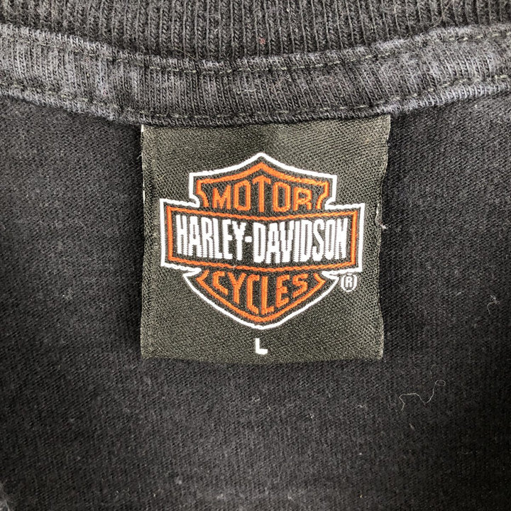 2000'S Harley-Davidson Fire Pattern Eagle Design Motorcycle Long-Sleeve T-Shirt, Made in USA, Men's Size L (approx.) cotton black type Vintage Second Hand