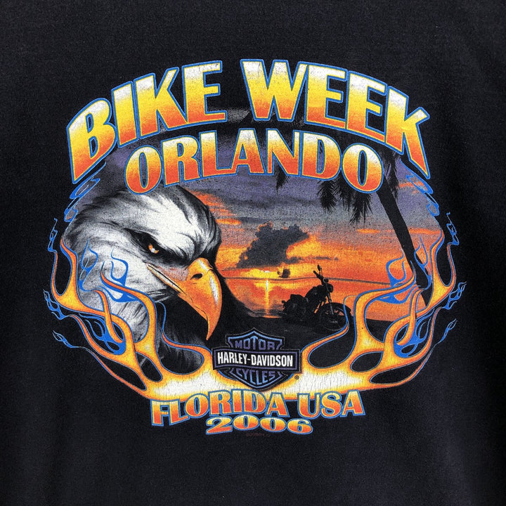 2000'S Harley-Davidson Fire Pattern Eagle Design Motorcycle Long-Sleeve T-Shirt, Made in USA, Men's Size L (approx.) cotton black type Vintage Second Hand