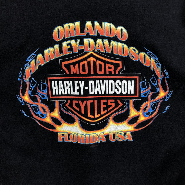 2000'S Harley-Davidson Fire Pattern Eagle Design Motorcycle Long-Sleeve T-Shirt, Made in USA, Men's Size L (approx.) cotton black type Vintage Second Hand