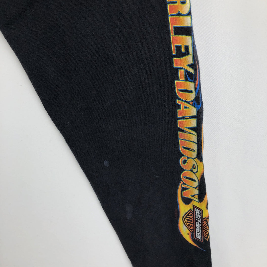 2000'S Harley-Davidson Fire Pattern Eagle Design Motorcycle Long-Sleeve T-Shirt, Made in USA, Men's Size L (approx.) cotton black type Vintage Second Hand
