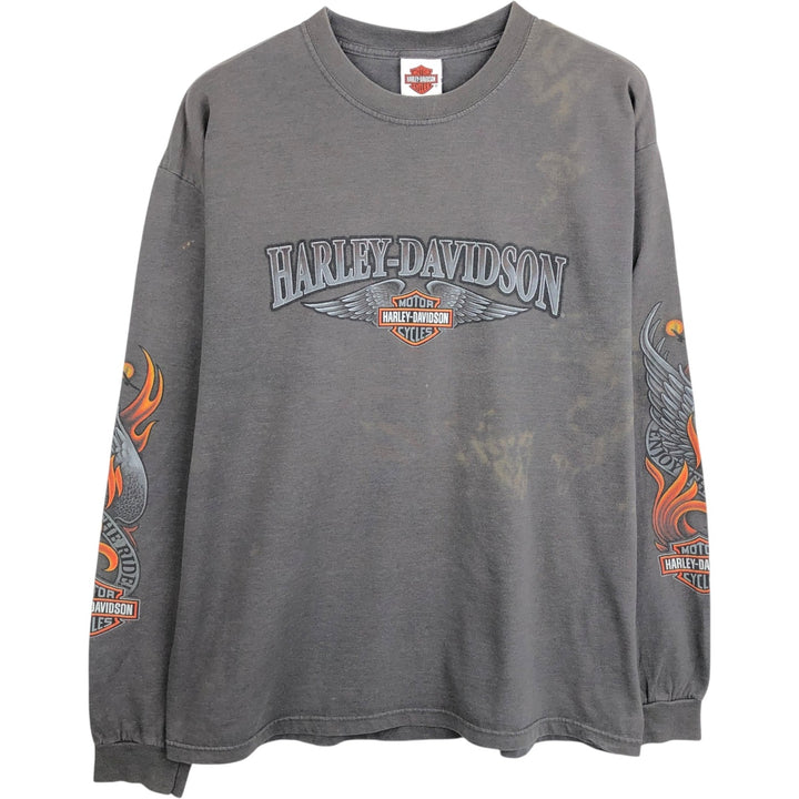 Harley-Davidson Fire Pattern Eagle Pattern Motorcycle Long-Sleeve T-Shirt, Made in USA, Men's XL Equivalent cotton Charcoal Vintage Second Hand