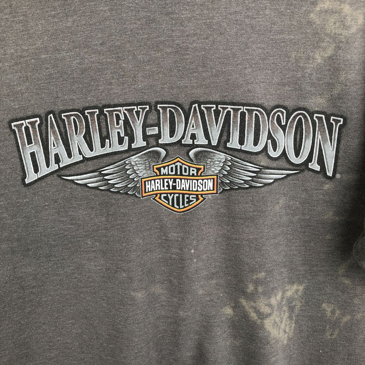Harley-Davidson Fire Pattern Eagle Pattern Motorcycle Long-Sleeve T-Shirt, Made in USA, Men's XL Equivalent cotton Charcoal Vintage Second Hand