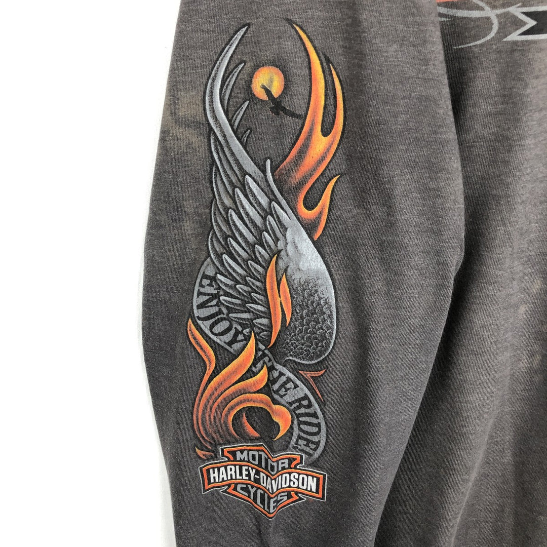 Harley-Davidson Fire Pattern Eagle Pattern Motorcycle Long-Sleeve T-Shirt, Made in USA, Men's XL Equivalent cotton Charcoal Vintage Second Hand