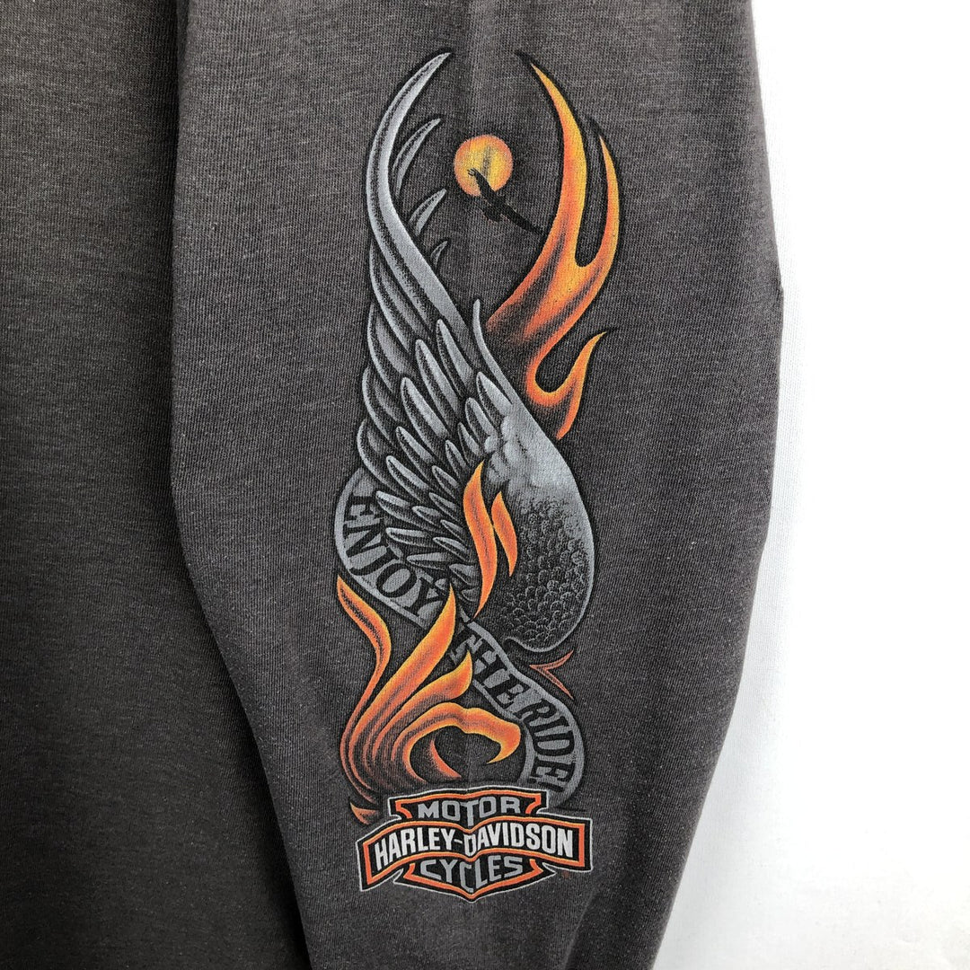 Harley-Davidson Fire Pattern Eagle Pattern Motorcycle Long-Sleeve T-Shirt, Made in USA, Men's XL Equivalent cotton Charcoal Vintage Second Hand