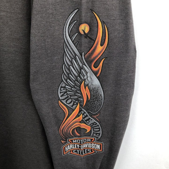 Harley-Davidson Fire Pattern Eagle Pattern Motorcycle Long-Sleeve T-Shirt, Made in USA, Men's XL Equivalent cotton Charcoal Vintage Second Hand