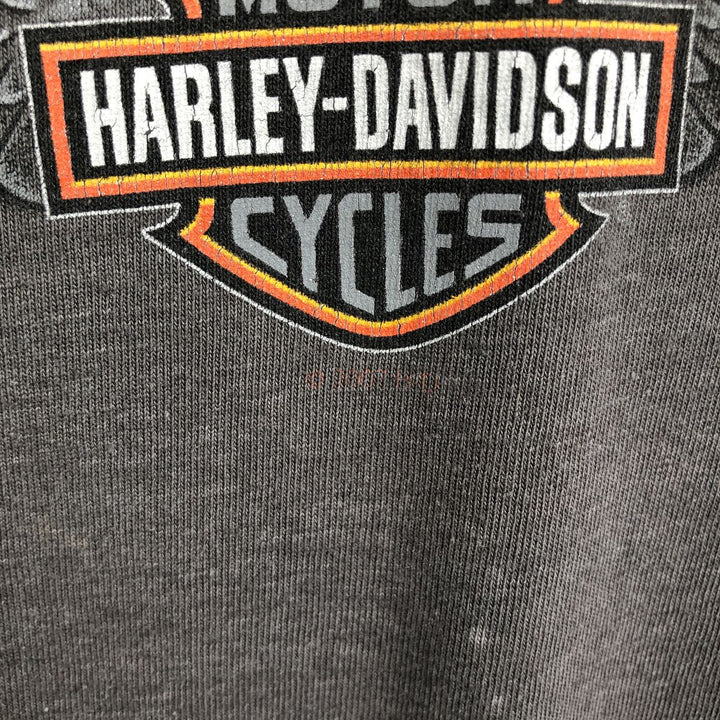 Harley-Davidson Fire Pattern Eagle Pattern Motorcycle Long-Sleeve T-Shirt, Made in USA, Men's XL Equivalent cotton Charcoal Vintage Second Hand