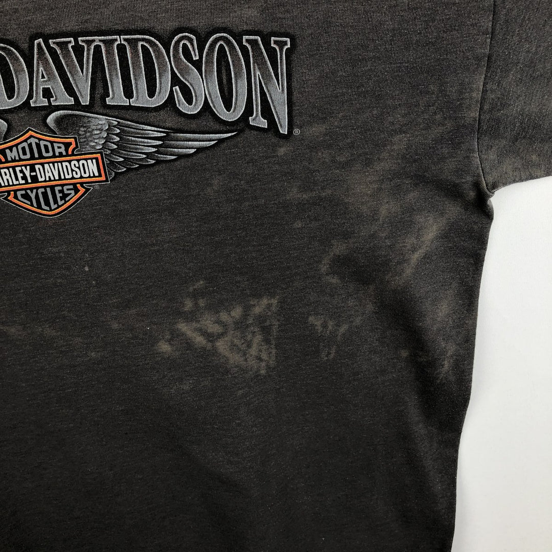 Harley-Davidson Fire Pattern Eagle Pattern Motorcycle Long-Sleeve T-Shirt, Made in USA, Men's XL Equivalent cotton Charcoal Vintage Second Hand