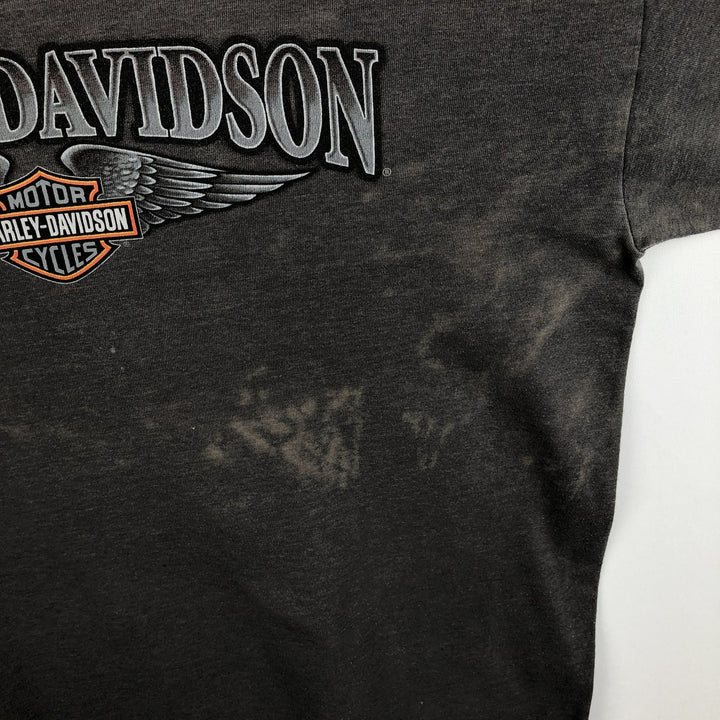 Harley-Davidson Fire Pattern Eagle Pattern Motorcycle Long-Sleeve T-Shirt, Made in USA, Men's XL Equivalent cotton Charcoal Vintage Second Hand