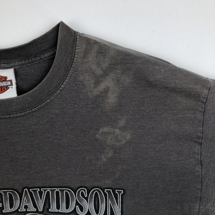 Harley-Davidson Fire Pattern Eagle Pattern Motorcycle Long-Sleeve T-Shirt, Made in USA, Men's XL Equivalent cotton Charcoal Vintage Second Hand