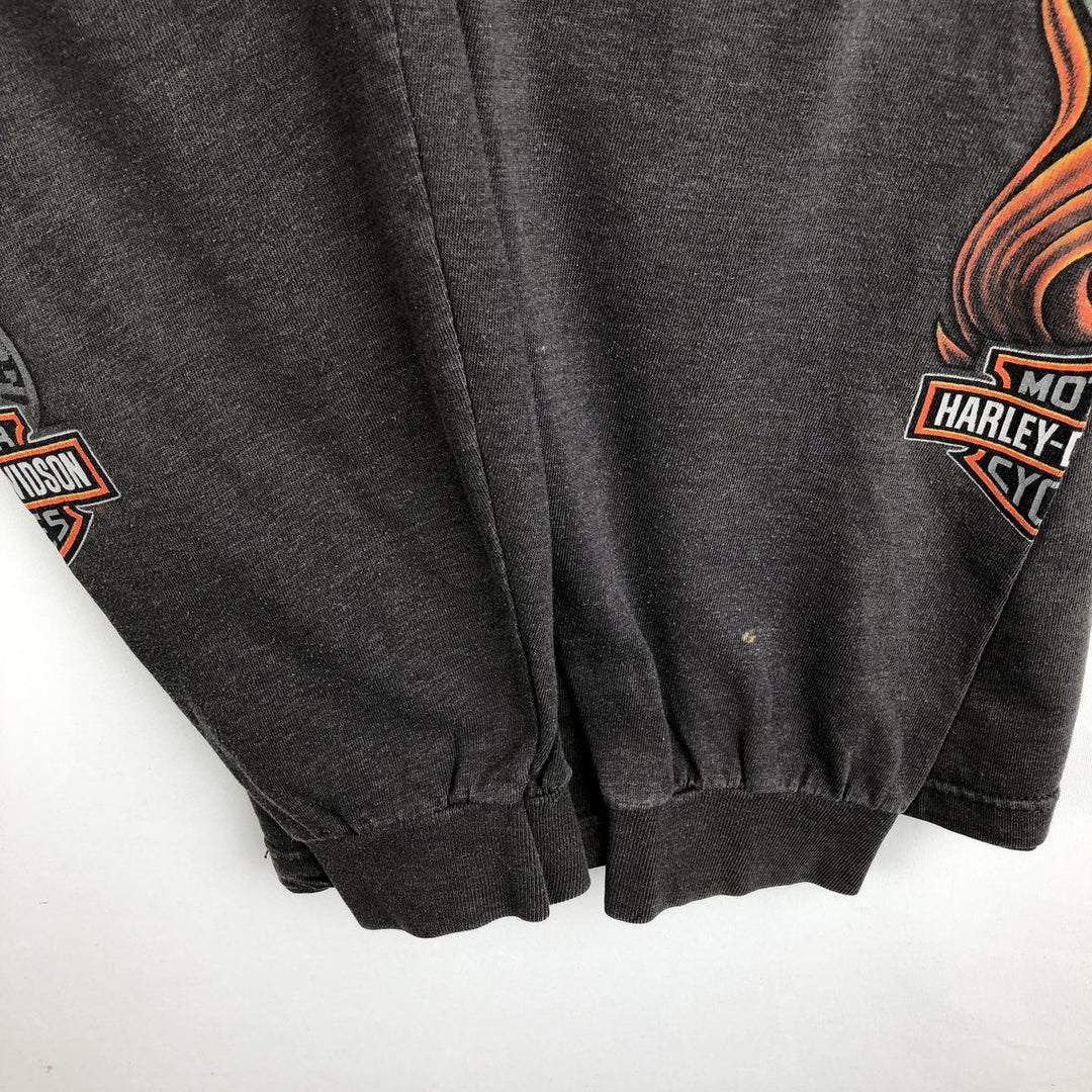 Harley-Davidson Fire Pattern Eagle Pattern Motorcycle Long-Sleeve T-Shirt, Made in USA, Men's XL Equivalent cotton Charcoal Vintage Second Hand