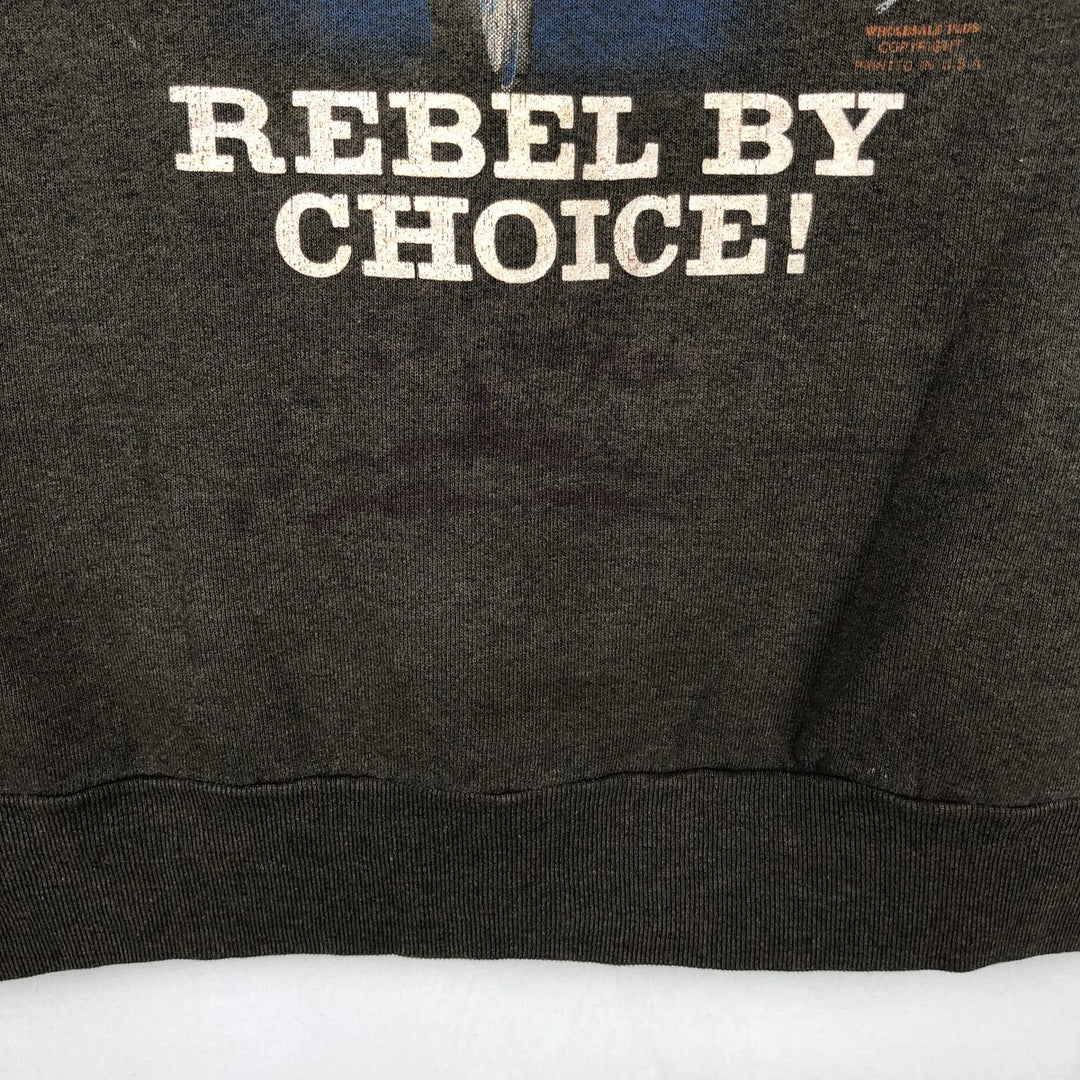 80'S Screen Stars American flag print sweatshirt, made in USA, men's size L equivalent. cotton brown type Vintage Second Hand