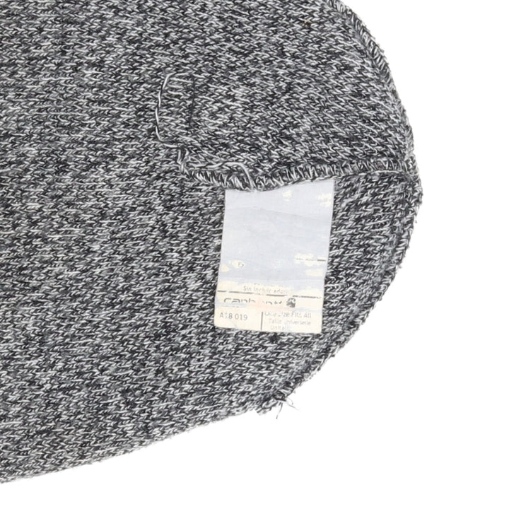 Carhartt Knitted Hat Beanie /gaa002811