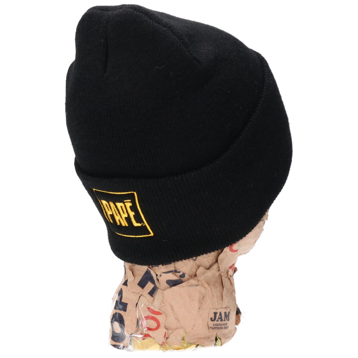 Carhartt Knitted Hat Beanie /gaa002829