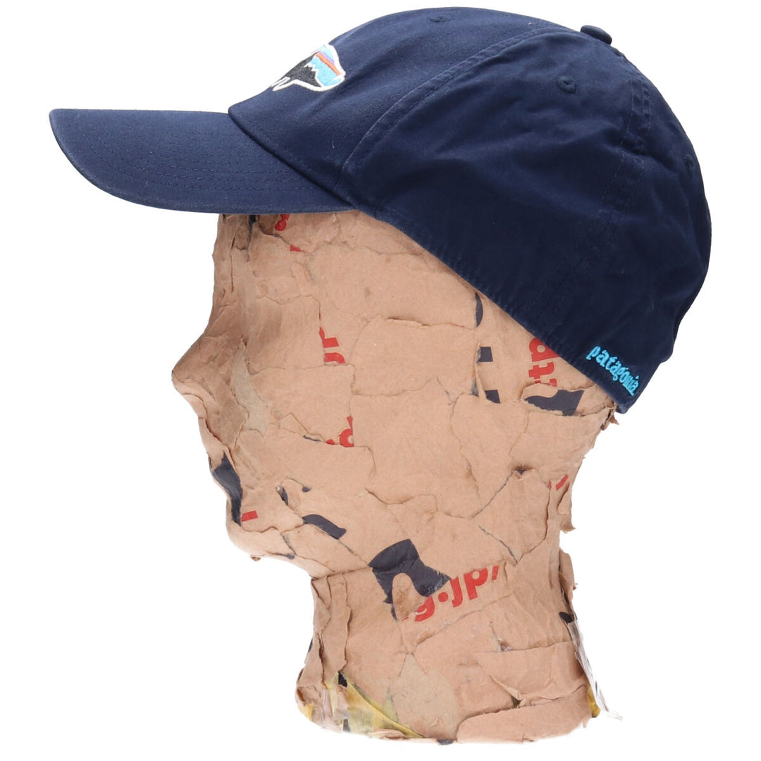 Patagonia Cap Free Size /gaa004247