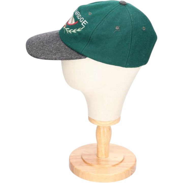 Vintage 90'S SCI 6-Panel Cap, One Size Fits All wool Green type dark green Vintage Second Hand