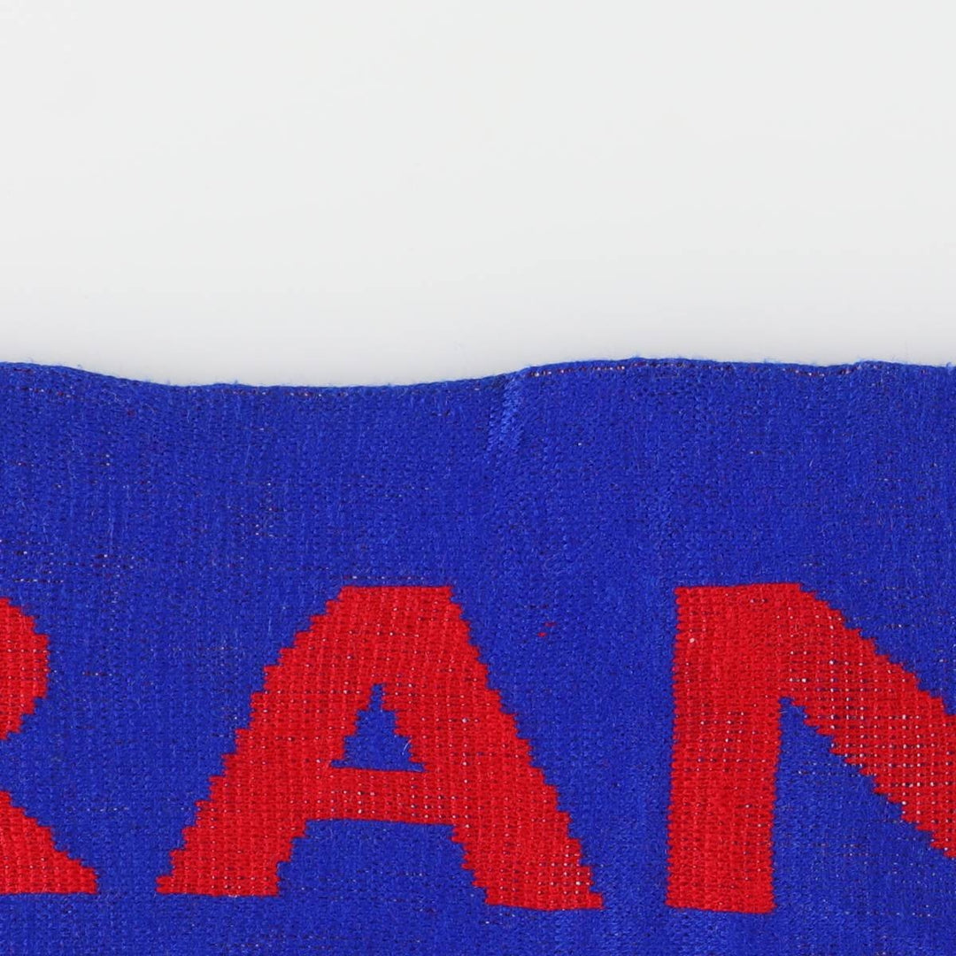 FRANCE flag pattern scarf unclear blue type Vintage Second Hand