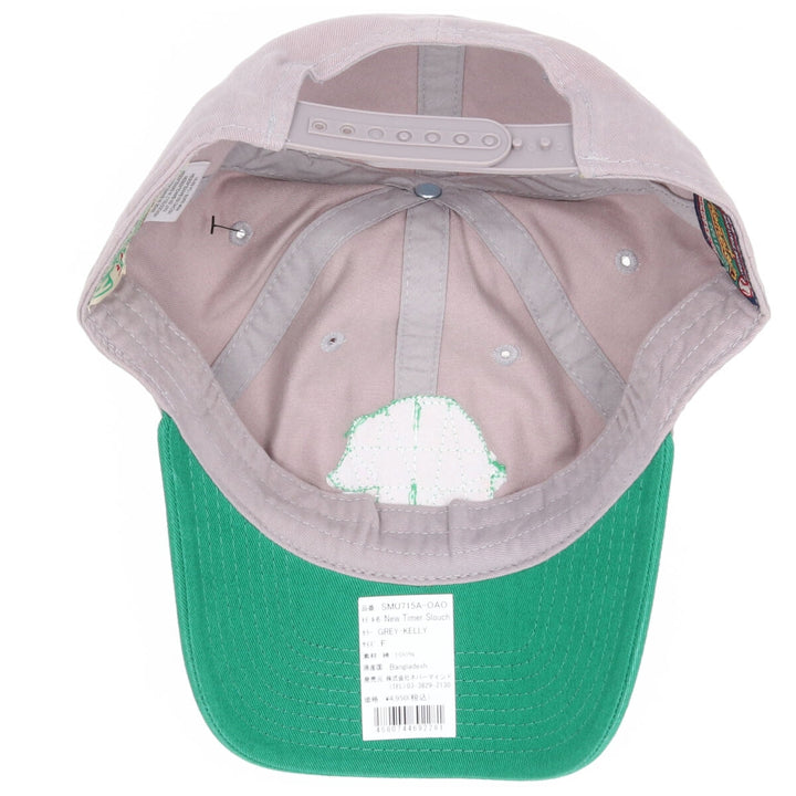 Gray/Green AMERICAN NEEDLE Oakland Lakes BB Cap F [01] [SMU715A-OAO] /jam1637