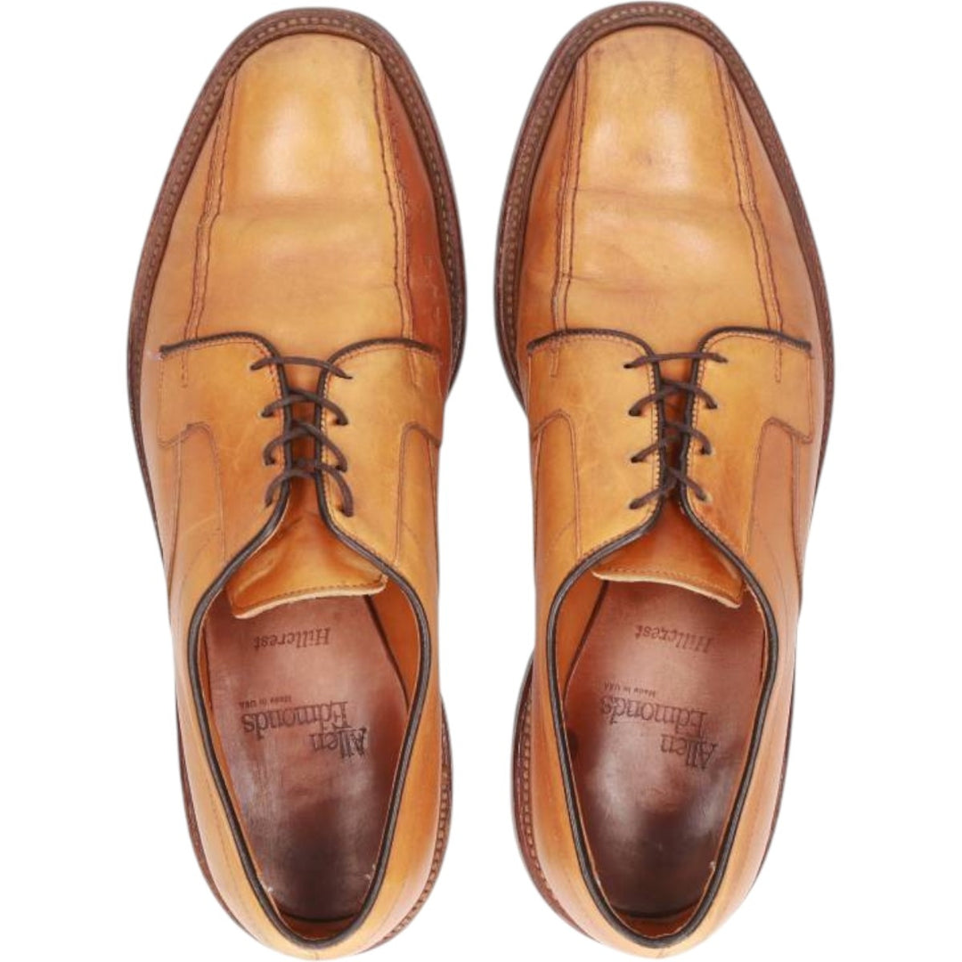 Allen Edmonds Hillcrest Swirl Mocha Leather Shoes, Size 9, Made in USA Men's 27.0cm genuine leather brown type Vintage Second Hand